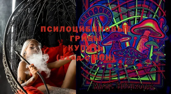 apvp Алагир