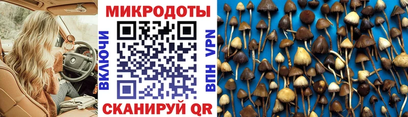 MEGA ONION  Южноуральск  Псилоцибиновые грибы GOLDEN TEACHER 