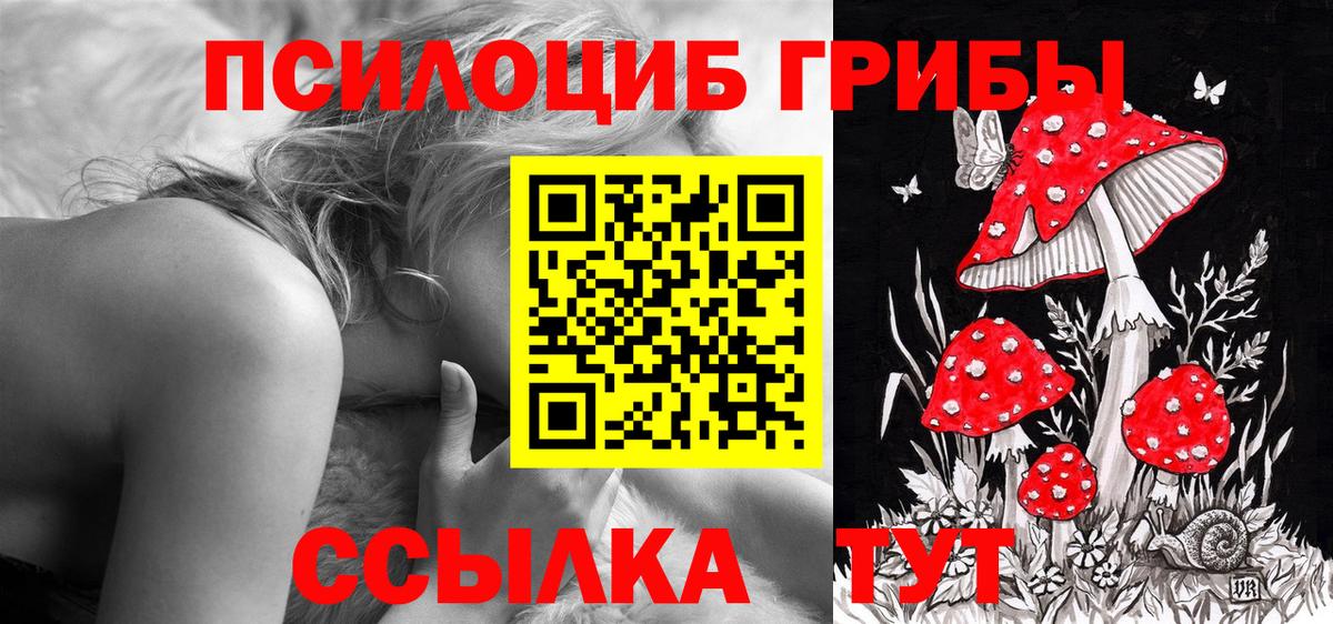 Южноуральск  Галлюциногенные грибы Psilocybine cubensis  Галлюциногенные грибы мицелий  Вход с VPN 