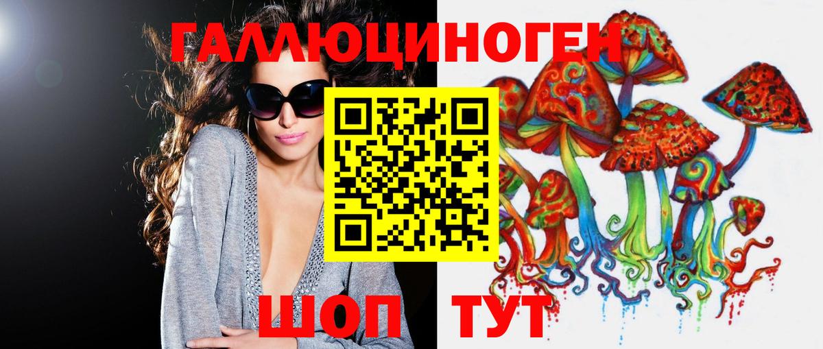 Псилоцибиновые грибы Psilocybe Южноуральск